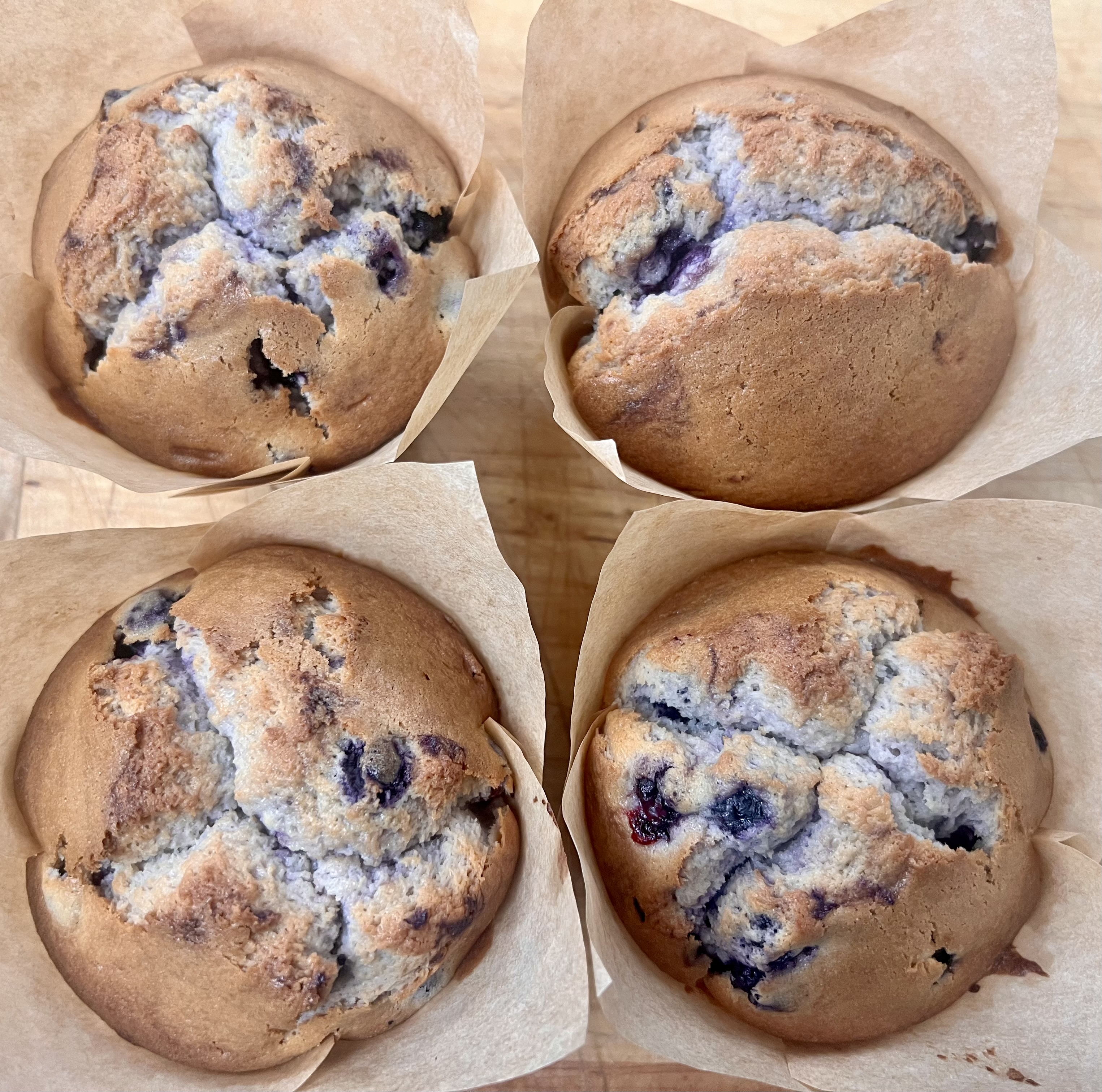 Blueberry Muffins